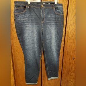 1822 Denim Size 24W Dark Wash Adrianna Skinny Jean Never Worn